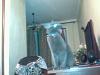     . 

:	PhotoFari_013_2011-09-11 22-14-55.jpg 
:	21 
:	28.8  
ID:	1145