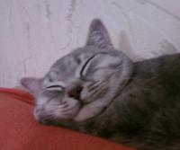     . 

:	SP_A0944.jpg 
:	3 
:	19.6  
ID:	1413